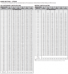 ASME Sections I & VIII Safety Relief Valves – 19 Series – Steam Specialty